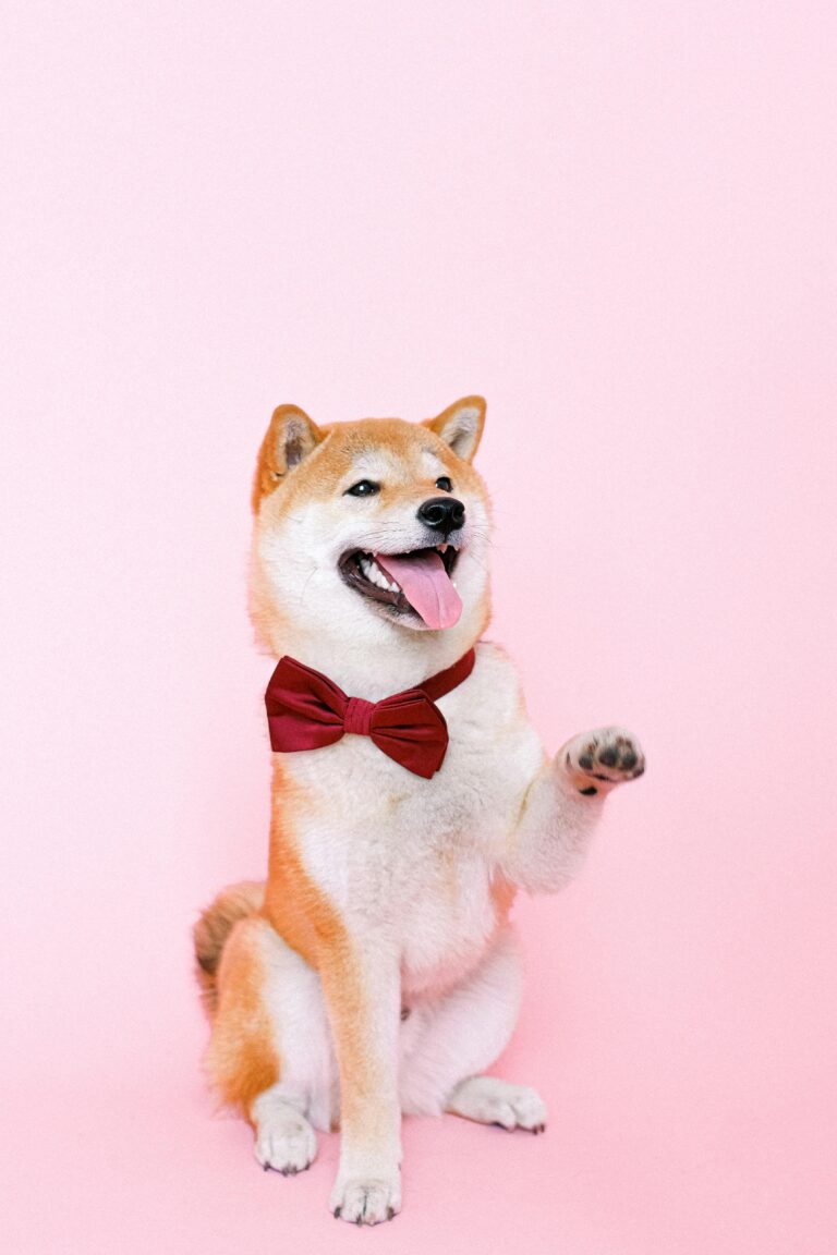 How to Decorate With Dog Art Without It Looking Like a Pet Store — The Minimalist Guide